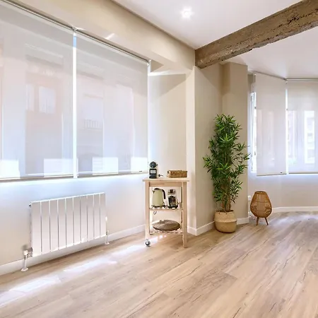 Familiar A Estrenar En Parking Gratis Y Wifi Gratis Barakaldo